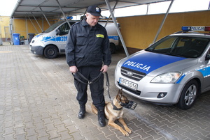 policjant z psem przy osobowym radiowozie.